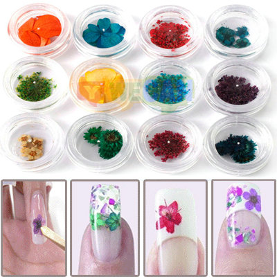 12 TYPES DRIED REAL FLOWER Acrylic System Nail Art Decoration-BOX