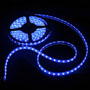 IP66 Waterproof 5M SMD 3528 LED Strip Light 300 LED Blue DC 12V 24W