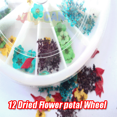 12 Style Real Dried Dry Flower for 3D UV Nail Art BOX