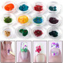 12 TYPES DRIED REAL FLOWER Acrylic System Nail Art Decoration-BOX
